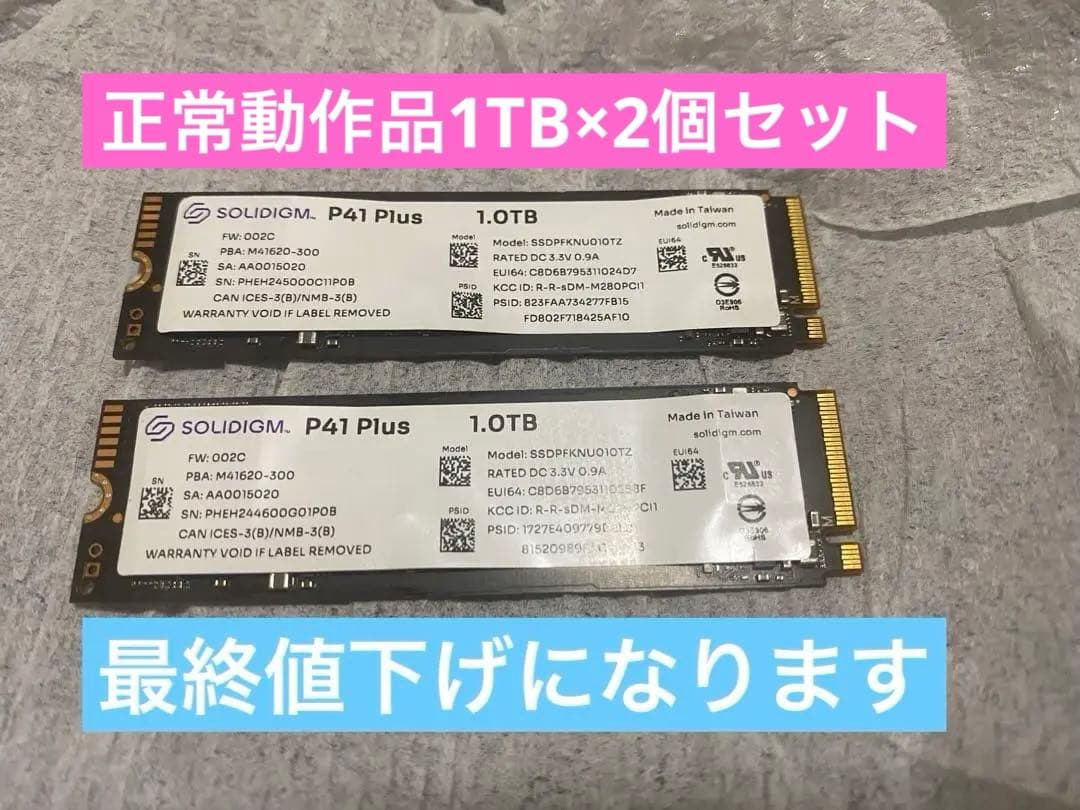 SOLIDGM P41 Plus gen4 Nvme SSD(1TB×2)正常品