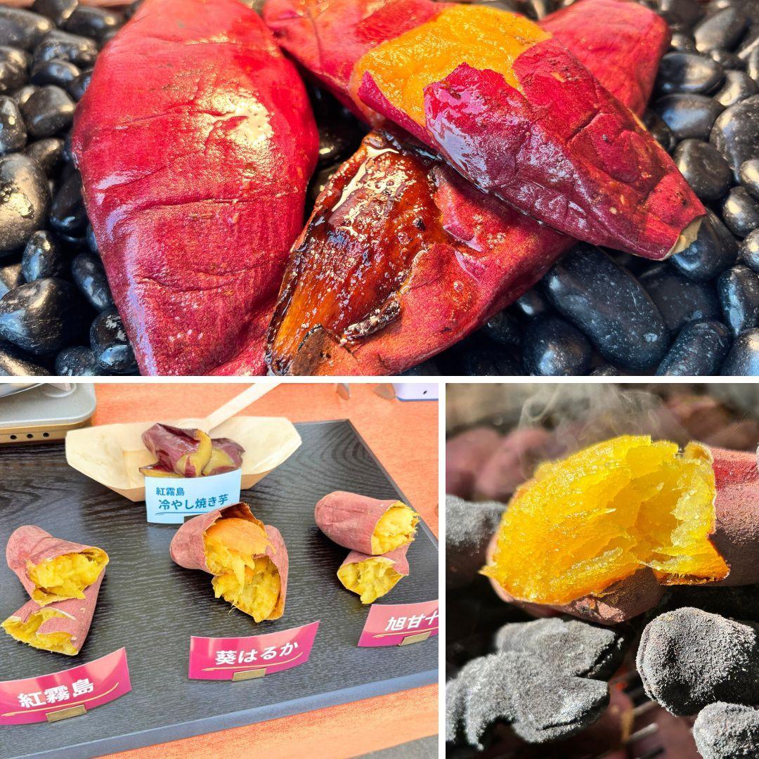 壺不要！業務用炭焼き芋機｜簡単に蜜焼き芋が焼けるスターターキット（軽量設計）