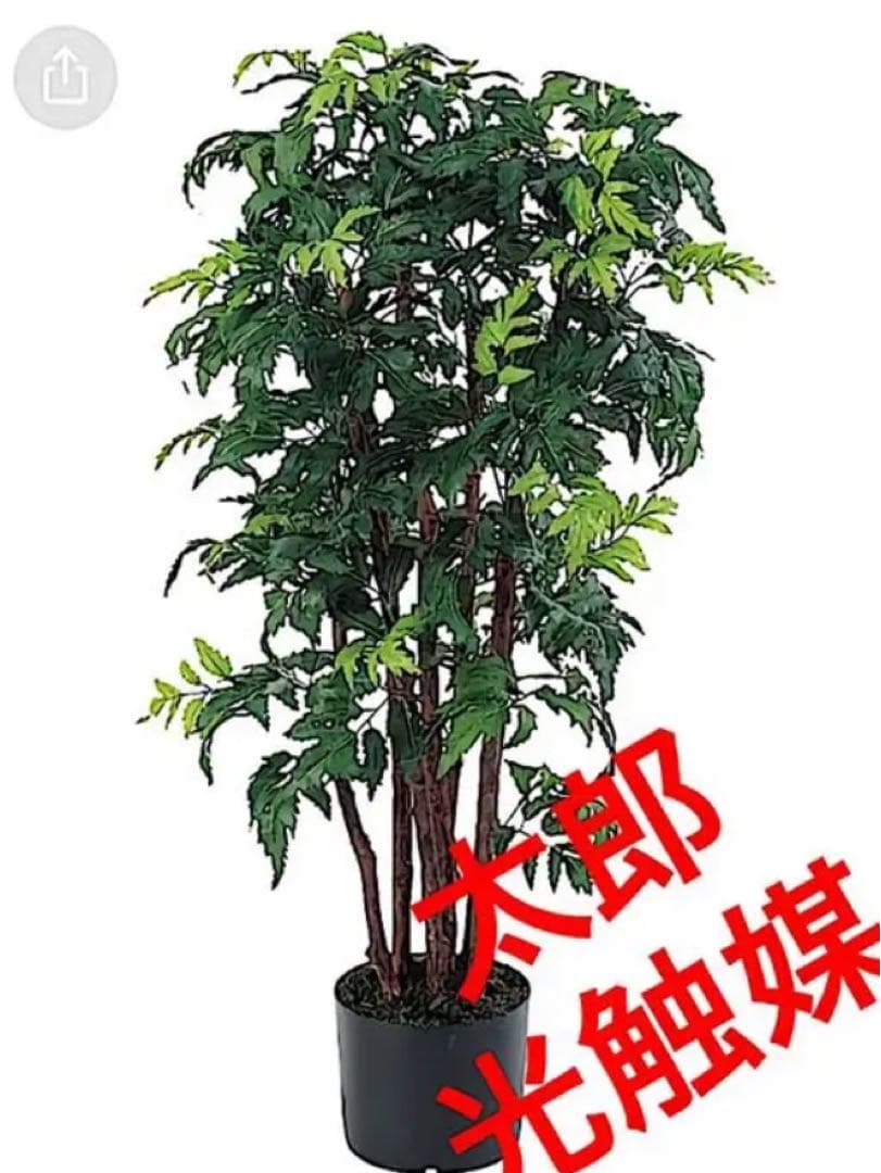 光触媒　人工観葉植物　ウォールグリーン　フェイクグリーン　フラワー　アラレヤ95