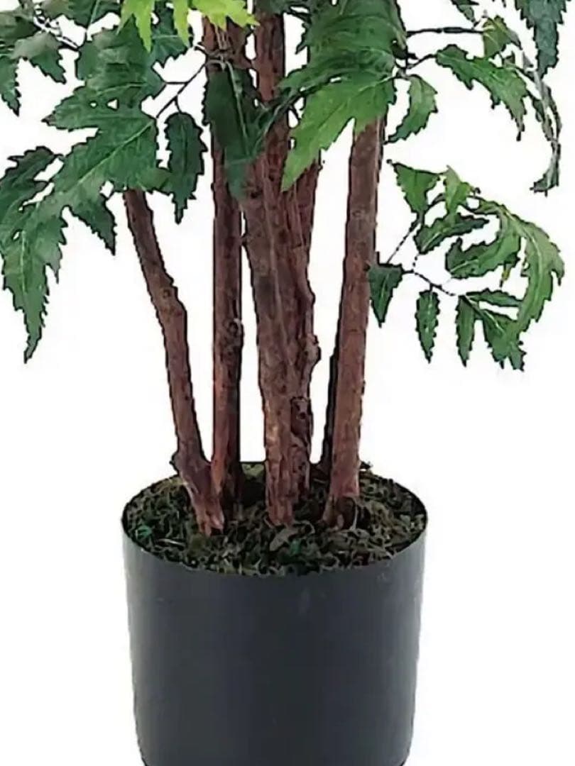 光触媒　人工観葉植物　ウォールグリーン　フェイクグリーン　フラワー　アラレヤ95