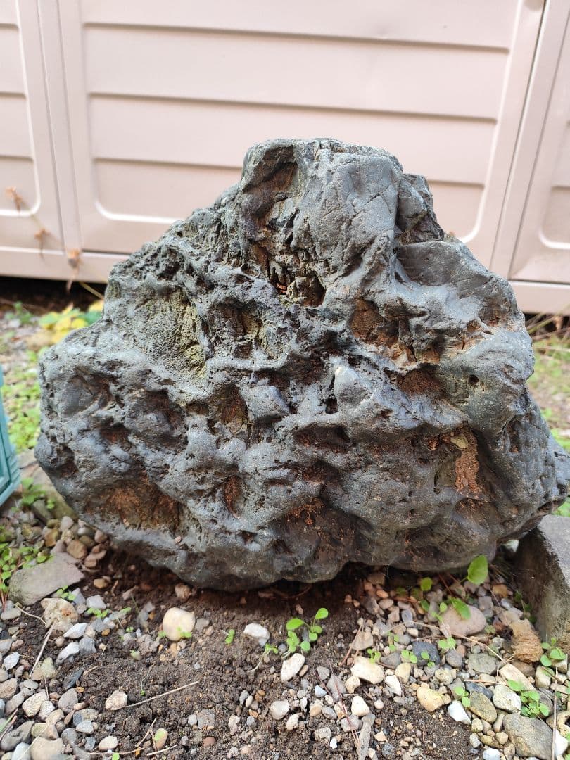 千軒石。黒色の天然石 水石