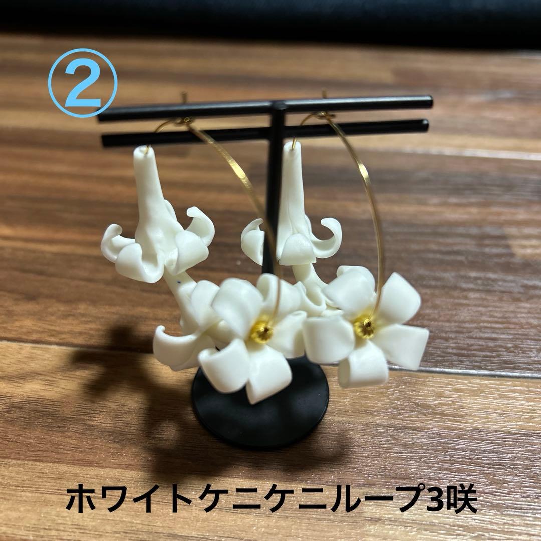 【ピカケページ】Hawaii・プアケニケニピアス・4セット