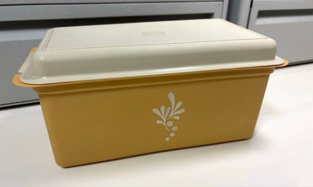 昭和レトロ入手困難希少激レア❤︎Tupperwareタッパーウェア❤︎パンケース大