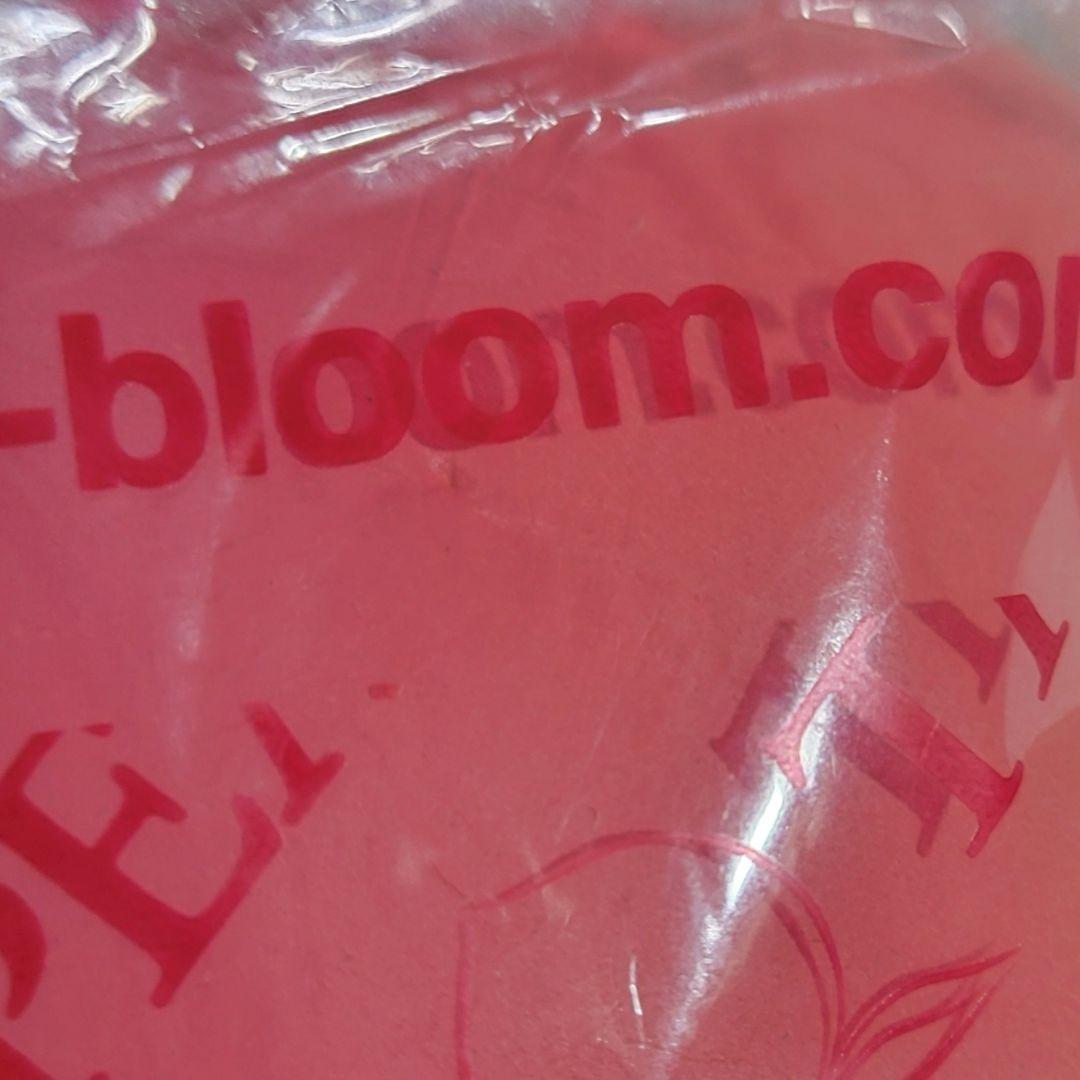 [SP51]オールドブルーム　THE PEACH　桃　スクイーズ　BIG