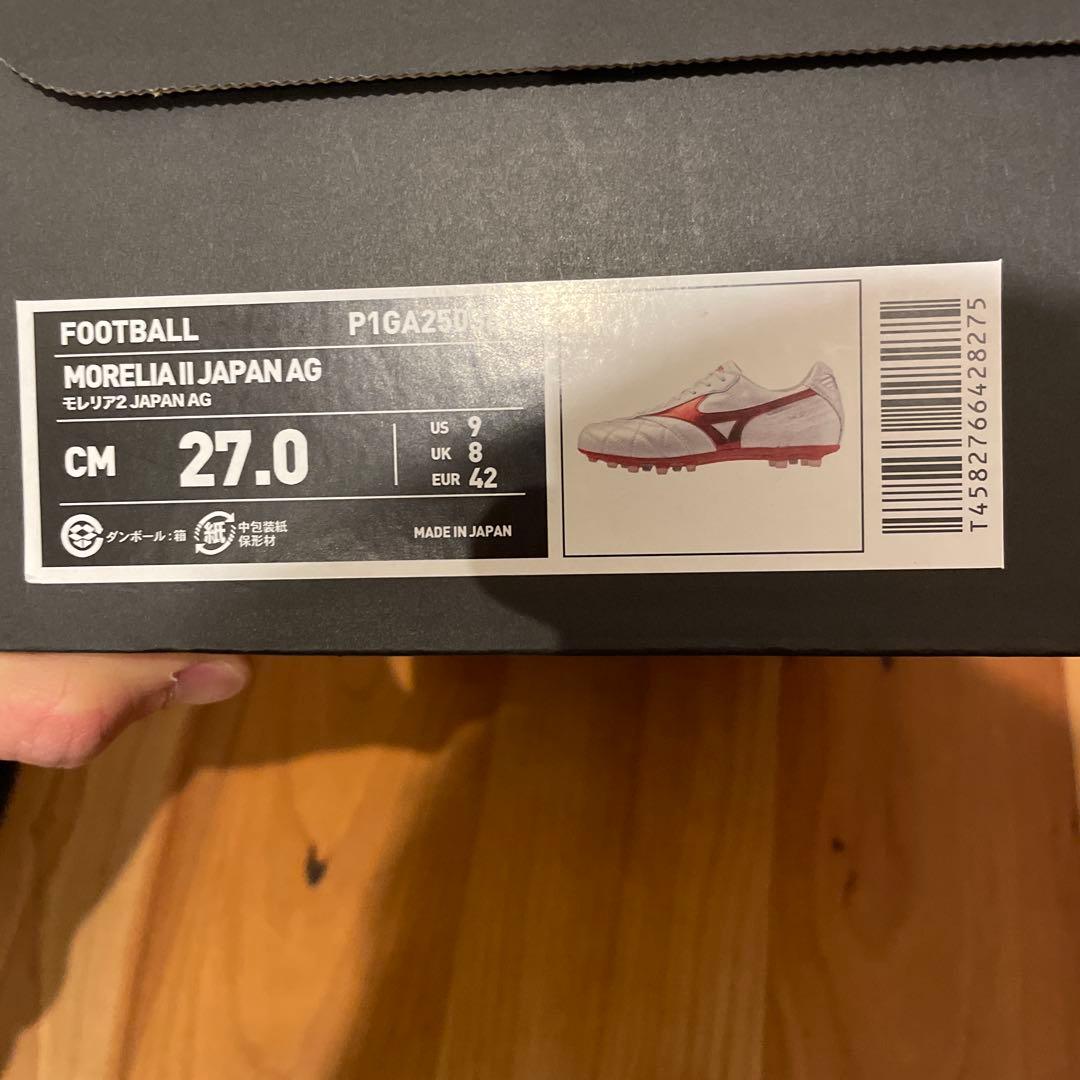 MORELIA Ⅱ JAPAN AG P1GA250360