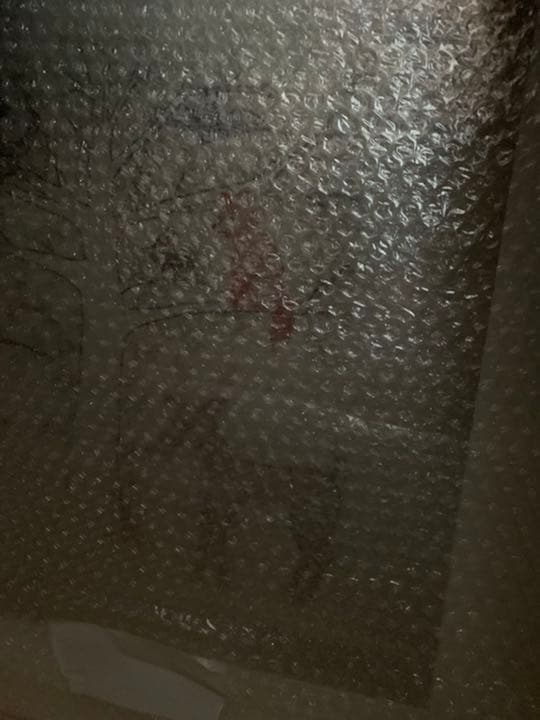 Coral＆Tusk フレームアート