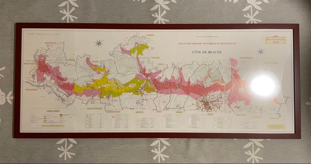 【大型額装美品】ブルゴーニュ（ワイン）南北の詳細な葡萄畑の地図
