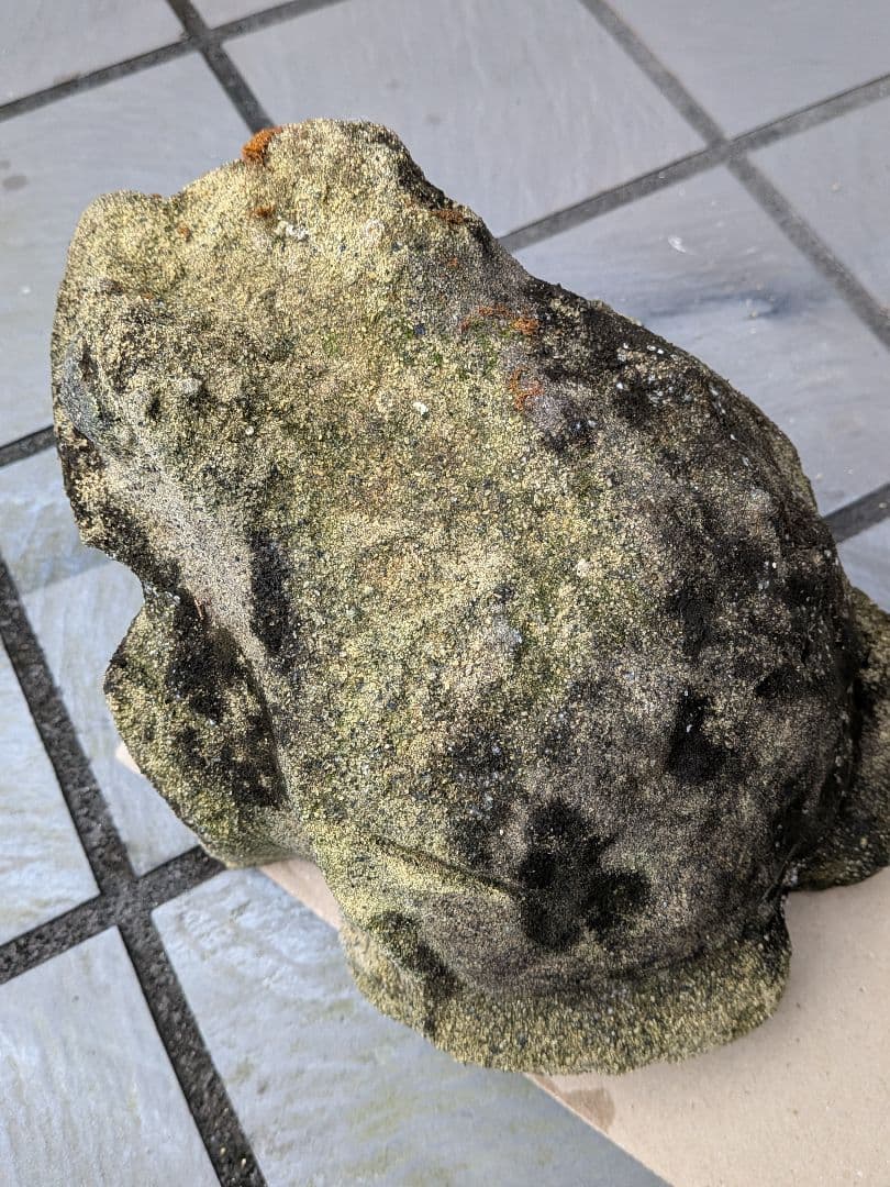 海外コレクター向き明治時代〜昭和戦前期頃蛙苔むした全長２３センチ重さ５キロ飾置物