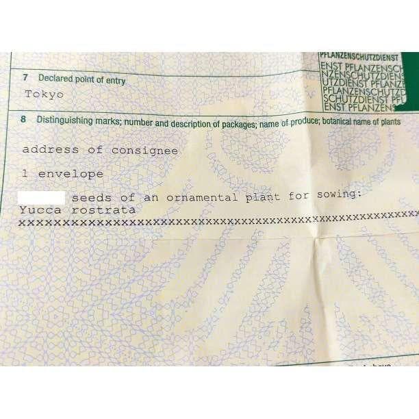 ITK.plant's様 種子セット