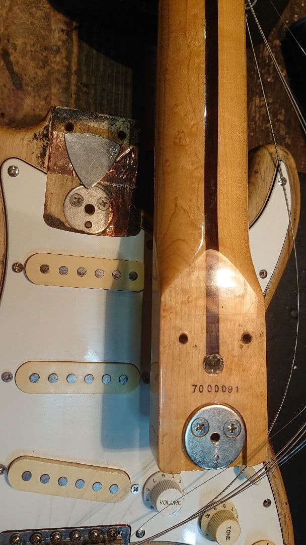 FERNANDES FST 石ロゴ ローズ