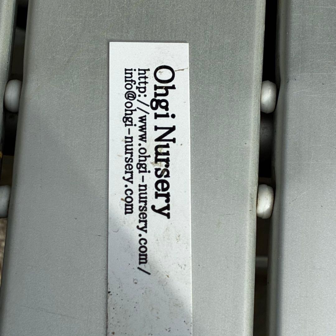 も*読様 546☘️蕾花タグ付☘️極上☘️SD⭐️蜃気楼⭐️小輪⭐️コロコロカッ