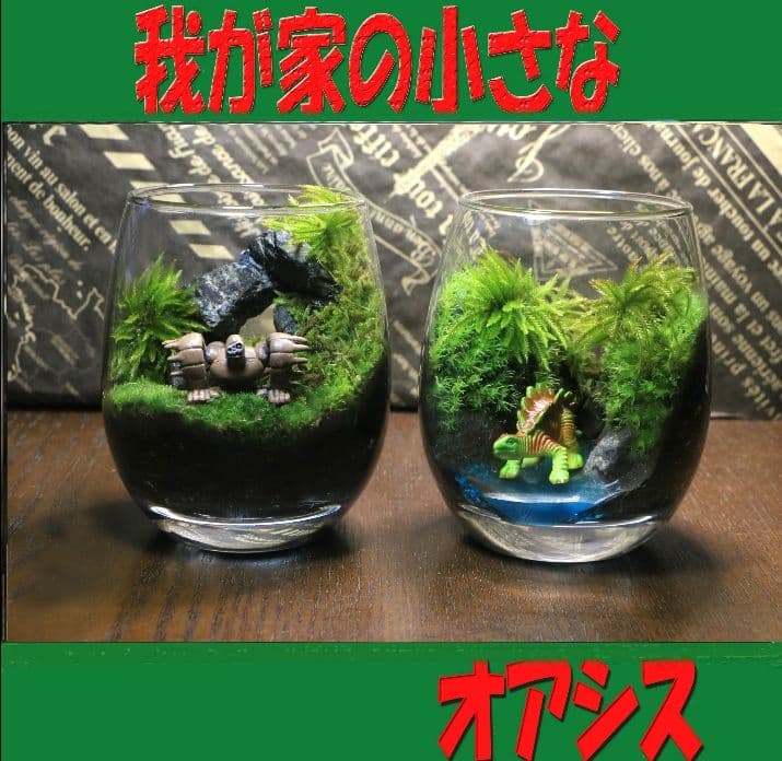 苔テラリウム　シングル、ダブル、ロボット兵＆恐竜フィギュア我が家の小さなオアシス