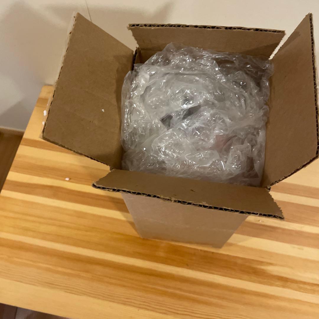 ほ*ぺ様 Coleman model 200, made in USA