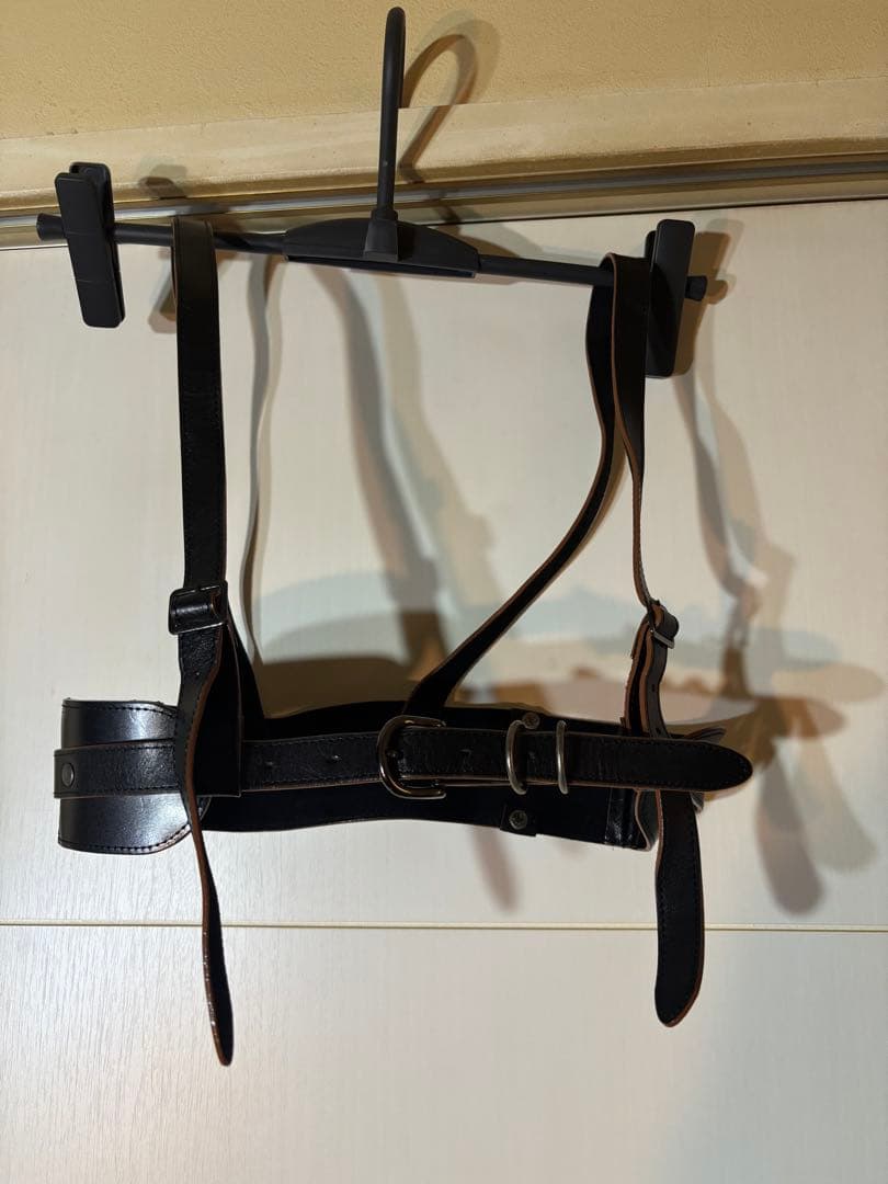 alice auaaブラックレザーハーネス