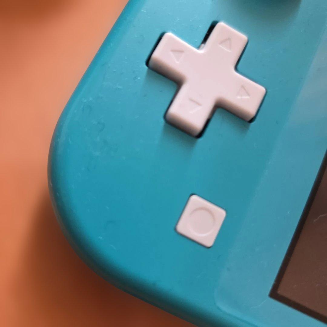 Nintendo Switch Lite本体　専用ケース付き