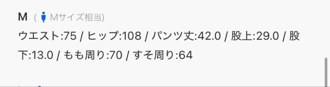ラルフローレン　メンズ　水着　スイムウェア