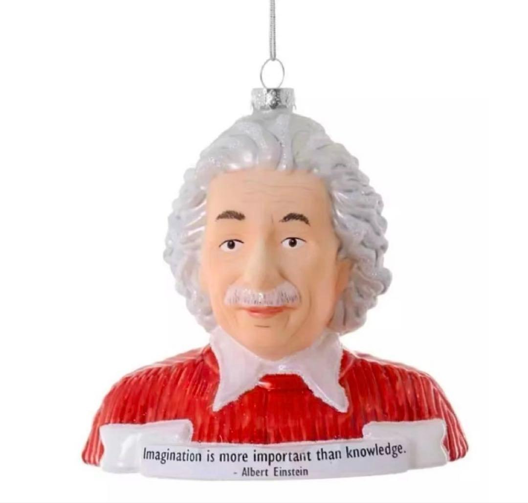 アインシュタイン　オーナメント　クリスマス　アスティエ・ド・ヴィラット