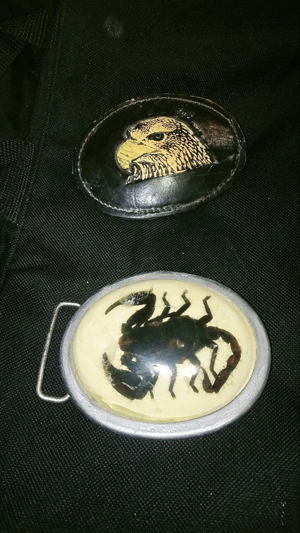 ☆バッファロースカル バイソン壁掛け