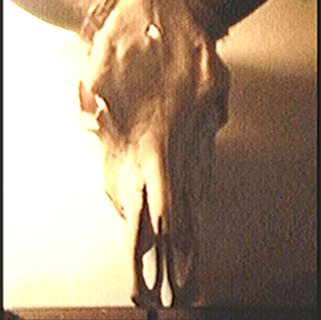 ☆バッファロースカル バイソン壁掛け