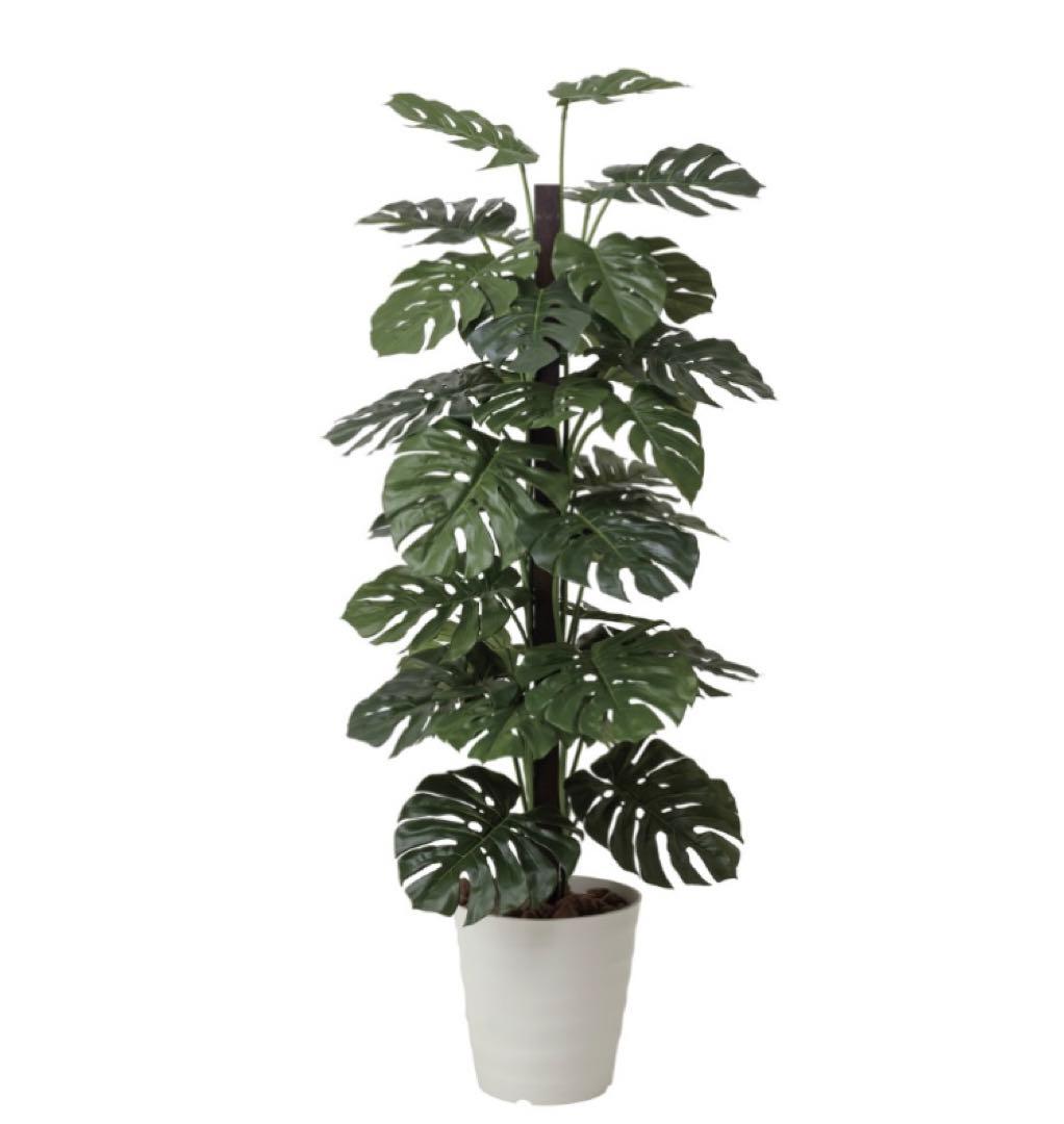 光触媒　人工観葉植物　ウォールグリーン　フェイクグリーン　モンステラ1.8m