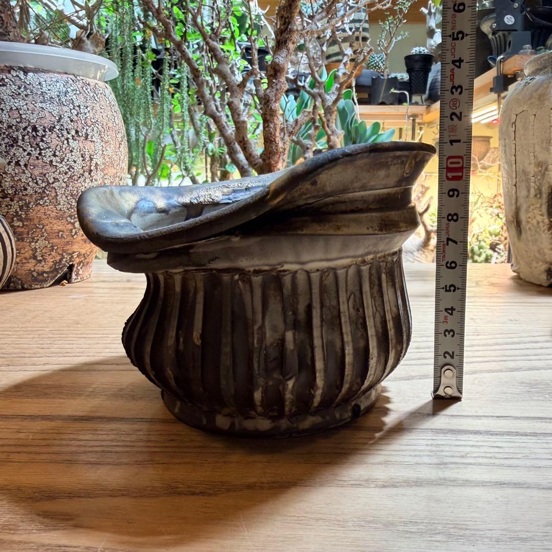 保田修作 癖鉢 【まとめ買いで5%off！】