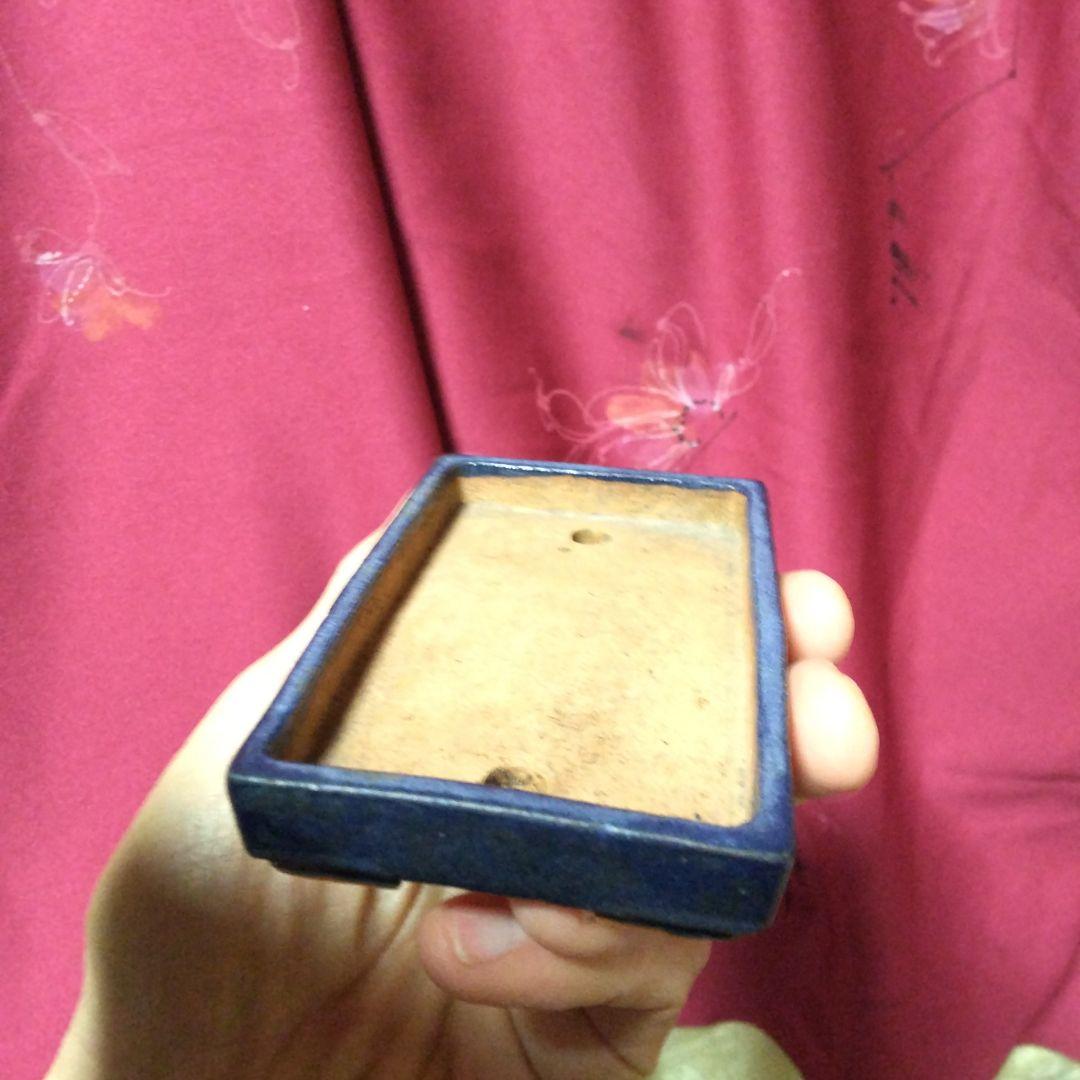 ミニ鉢、盆栽鉢、盆栽小鉢、鉢、植木鉢、山野草鉢、蘭鉢、盆栽