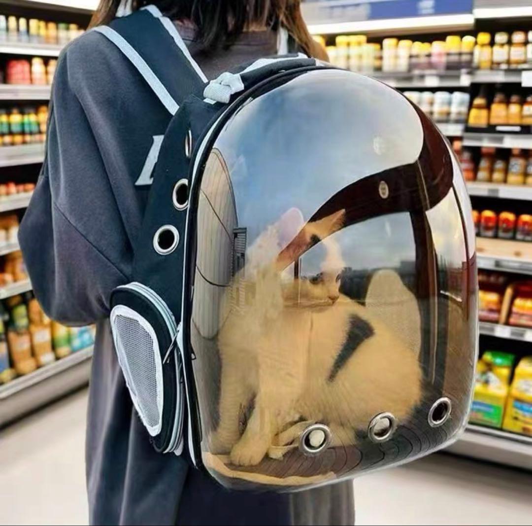 透明キャリーバッグ 中型 猫用