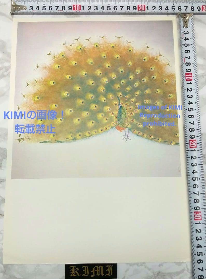 ポスター 孔雀 上村松篁 Poster Peacock Shoko Uemura