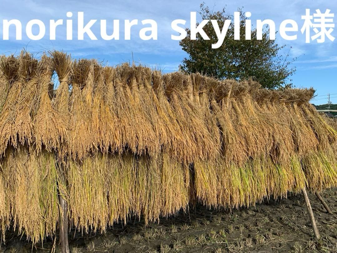 norikura skyline 50束 稲藁 完全無農薬