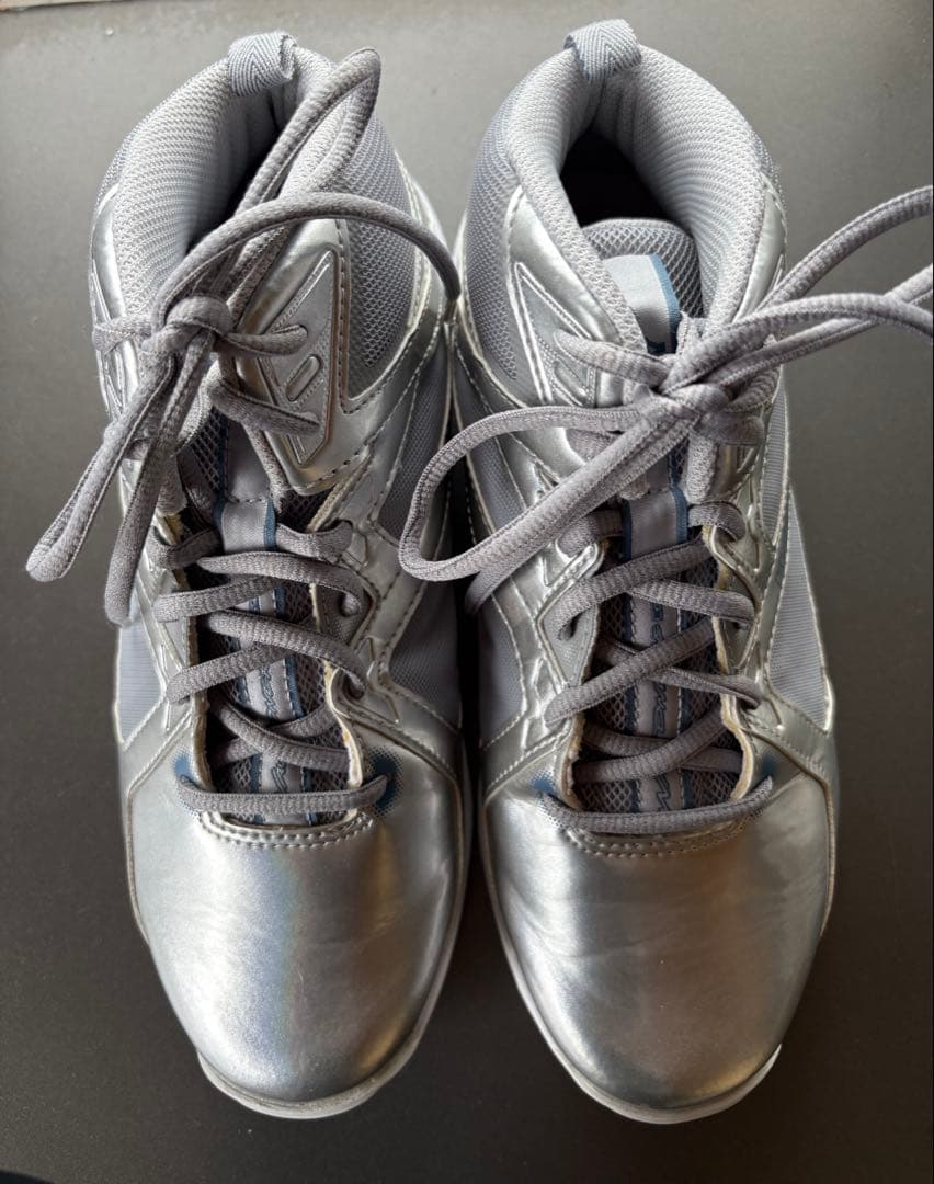 Mizuno ウェーブダイバース　LG4 シルバー　24.0cm