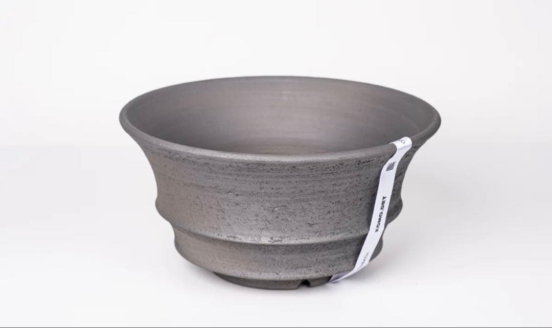 KOMODRY三州みやび鉢 パキプスInvisible ink SRL 鶴仙園