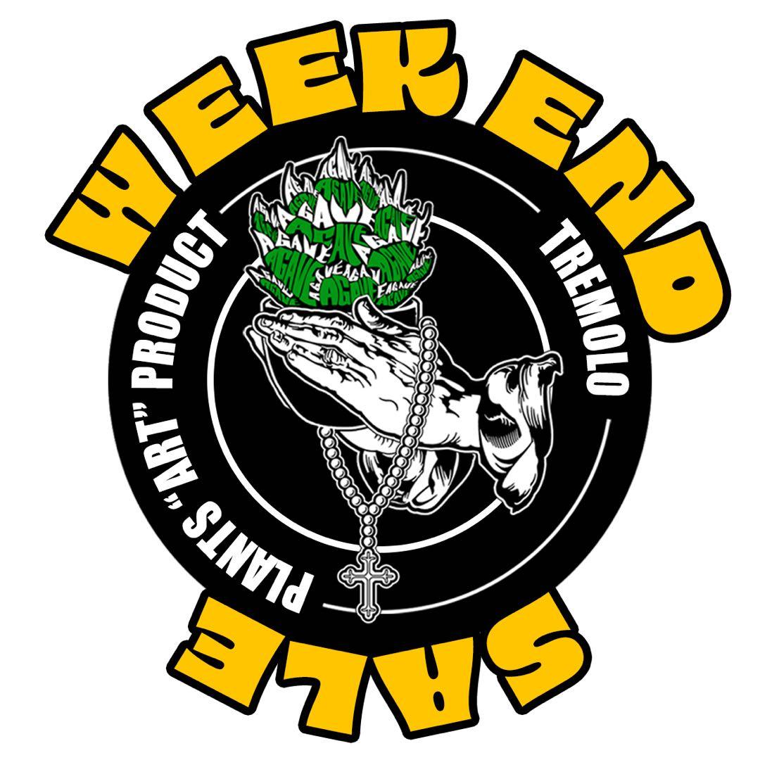 ★2/8(日)まで週末セール中★アガベ　グラキリス　パキプス　白鯨　悪魔くん