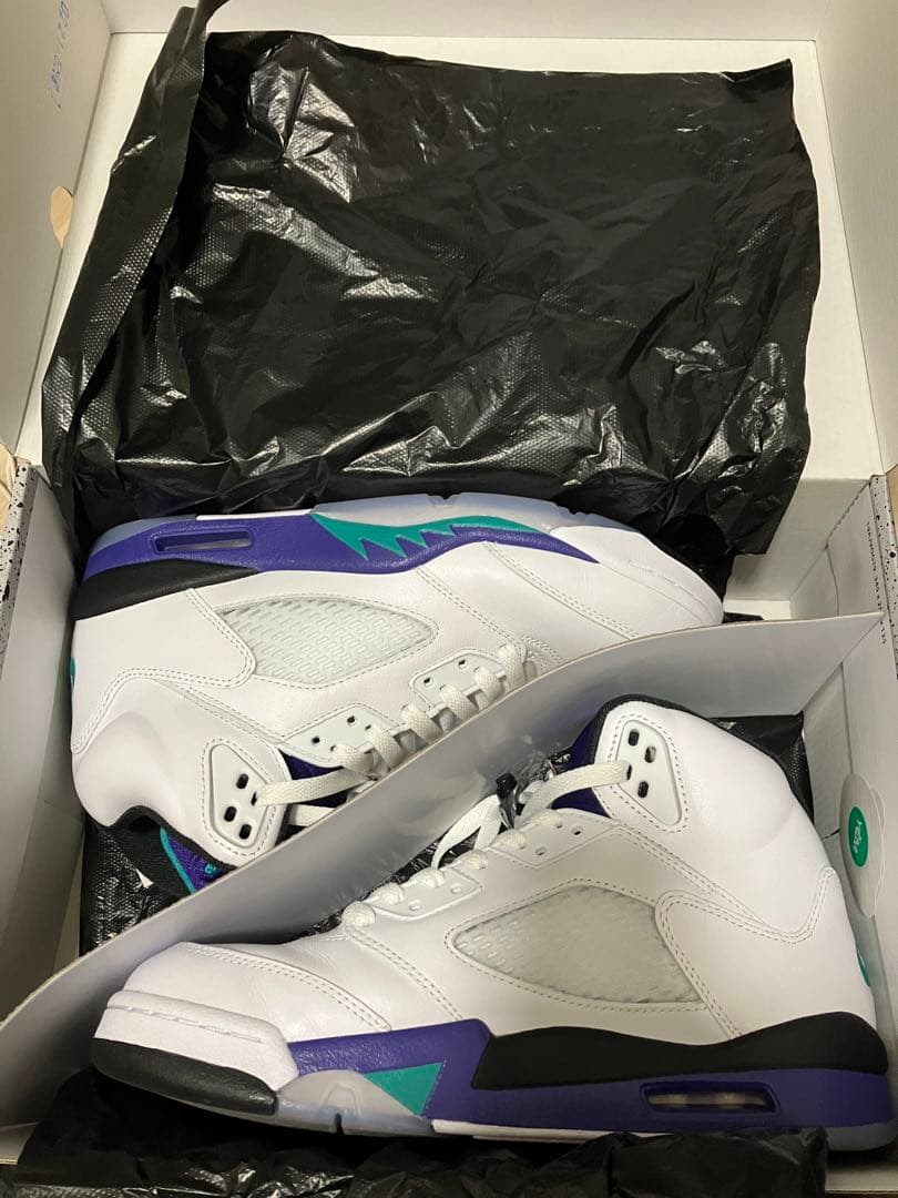 Air Jordan 5 グレープ　AJ5