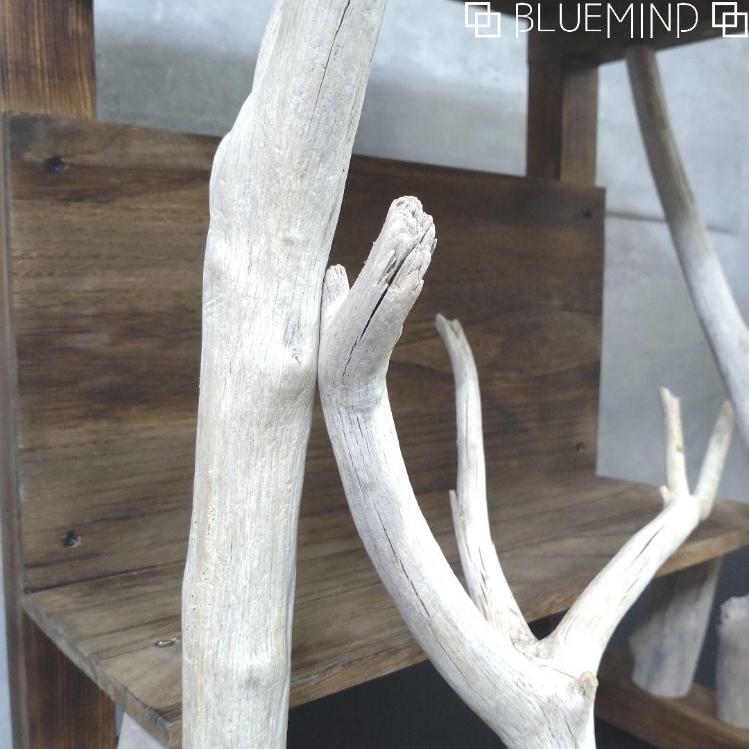 No.1208 流木のローテーブル 流木インテリア