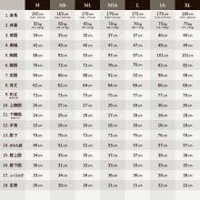 国内生産/ALL3mフルスーツ/クラッシックウェットスーツ/メンズLbサイズ