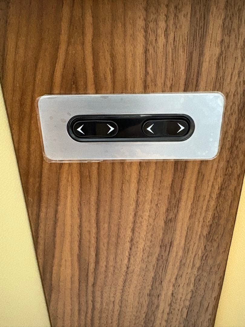 美品　2モーター電動チェアラグジェ