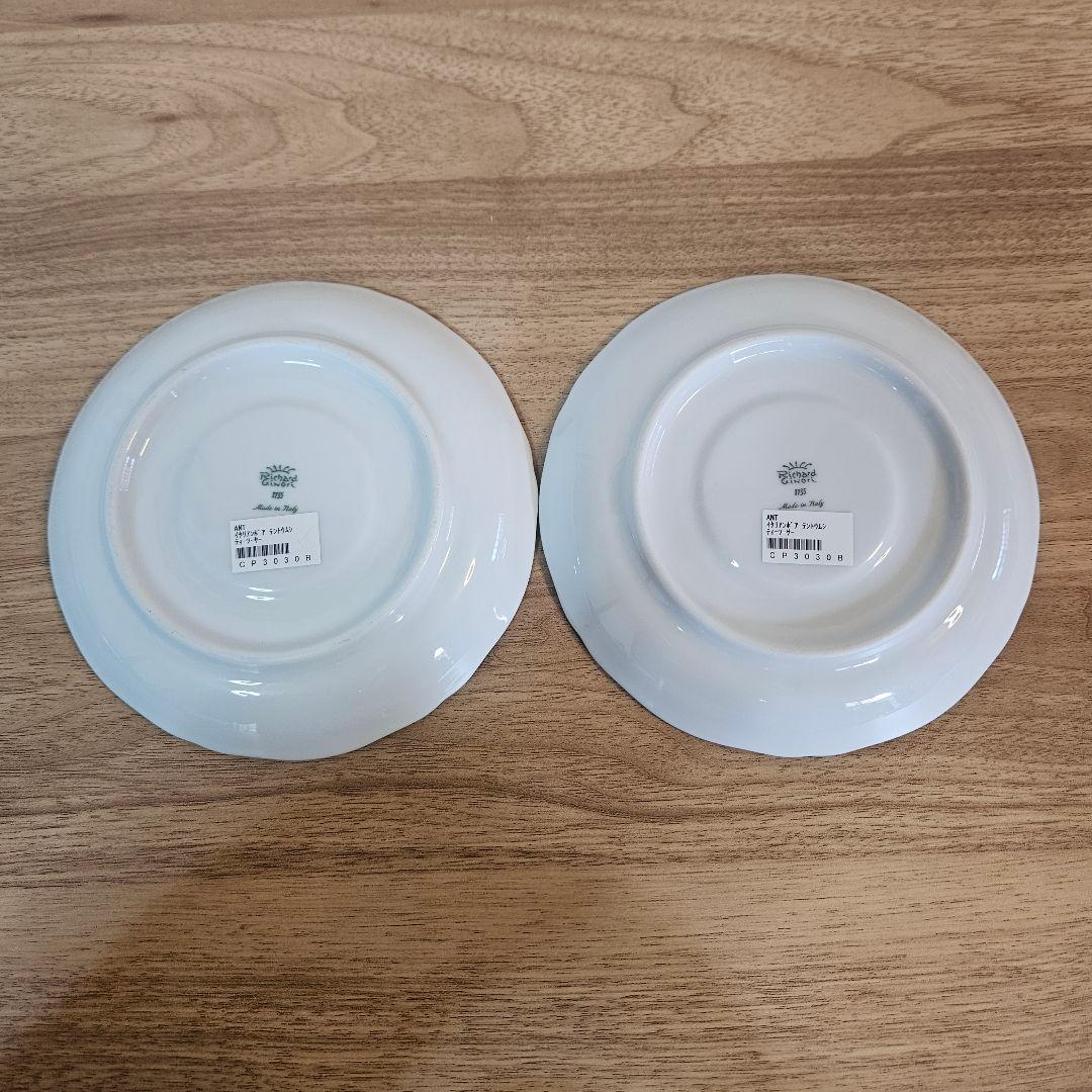 美品 リチャードジノリ Ginori Richard カップ ソーサー
