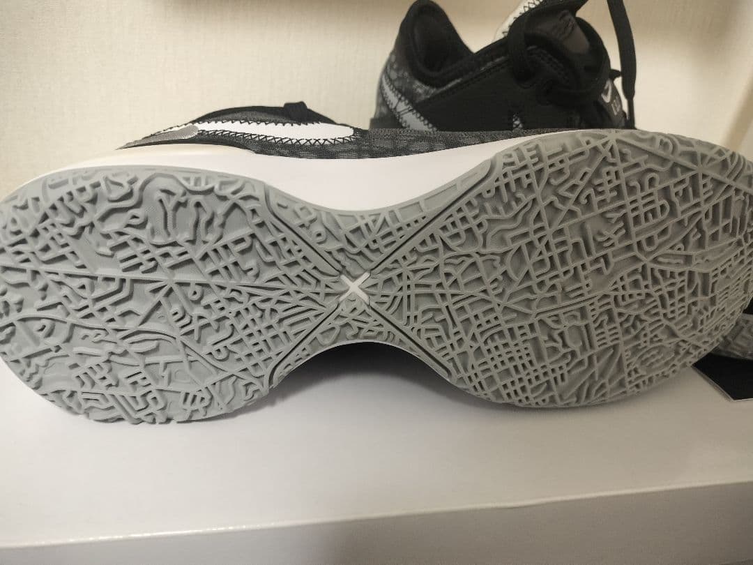 Nike 25.5cm レブロン NXXT Gen EP DR8788-005