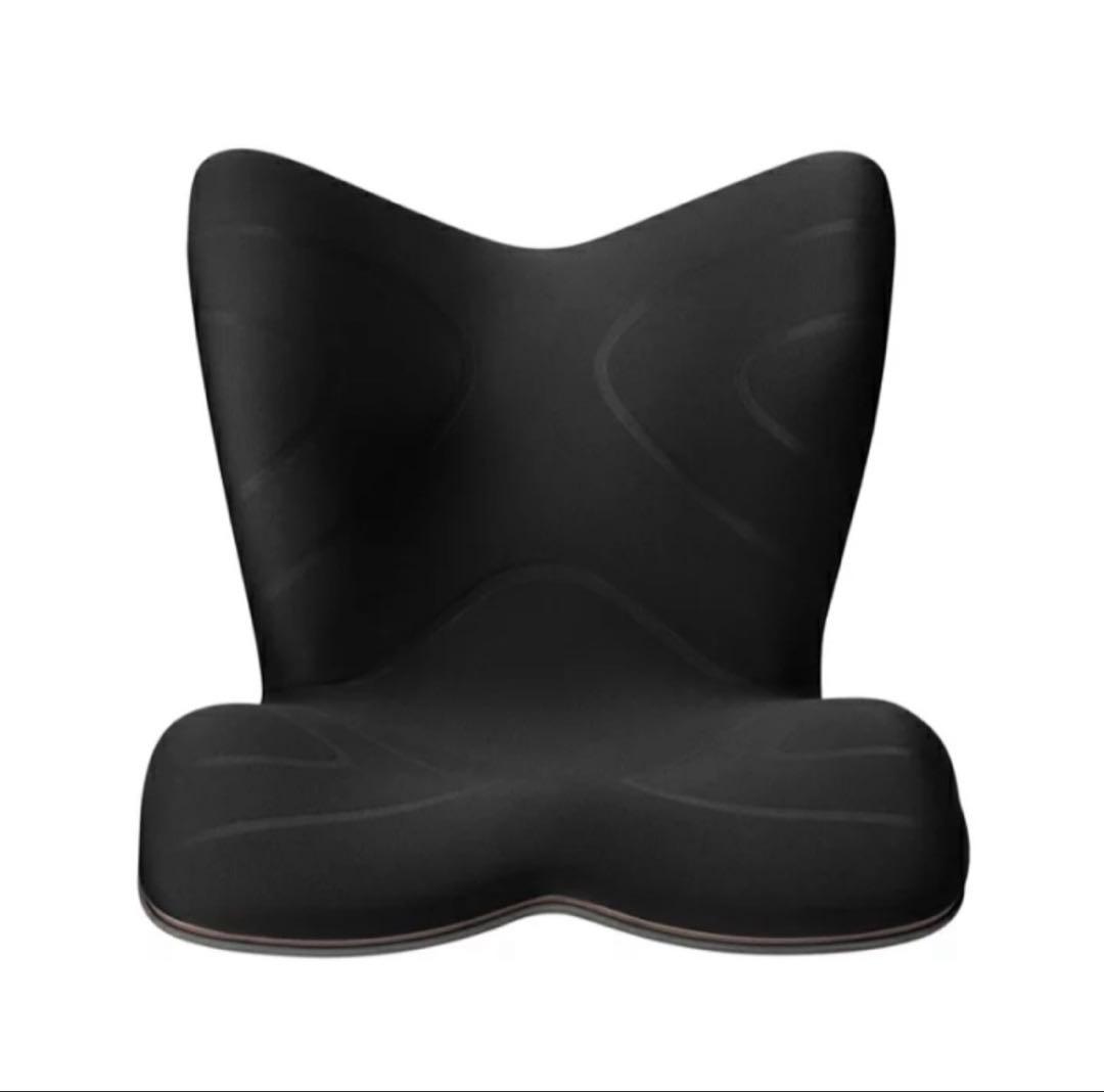 Style PREMIUM Ⅱ ブラック　チェア