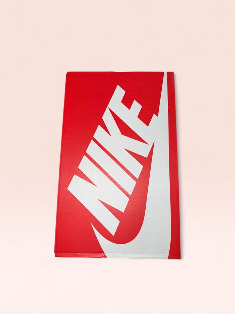 靴 Nike AirMax95 OG CoolGrey/BlueSpark