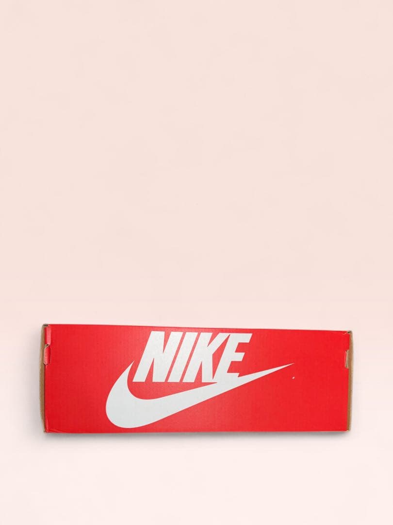 靴 Nike AirMax95 OG CoolGrey/BlueSpark