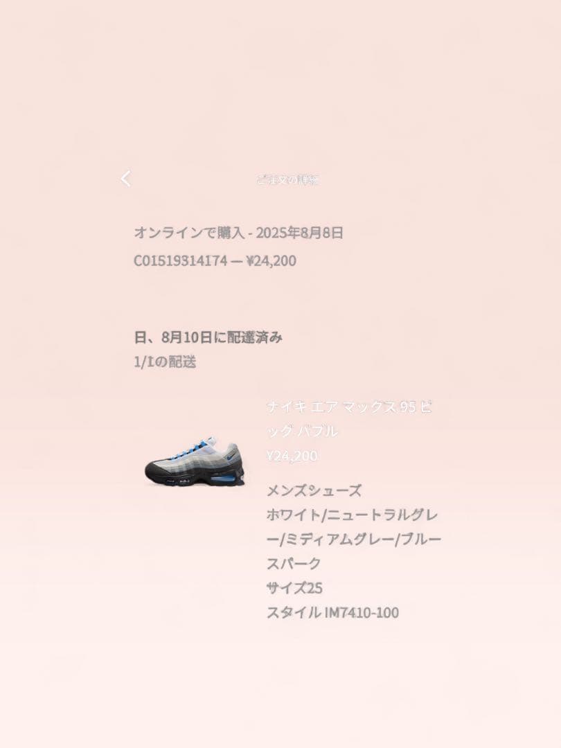 靴 Nike AirMax95 OG CoolGrey/BlueSpark
