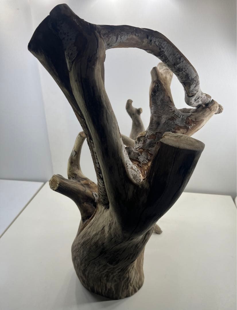 W21特大流木 アク抜き済み流木 爬虫類シェルター 止まり木 バードアスレチック