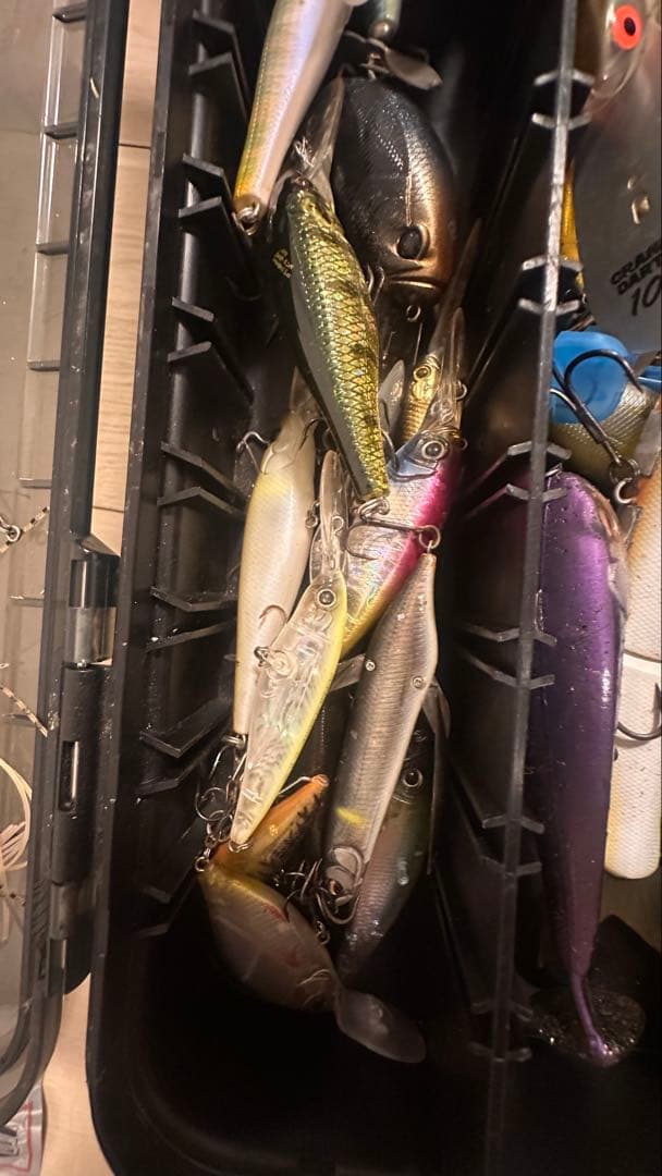 バス釣り引退セット 早い者勝ち！ シマノ ダイワ