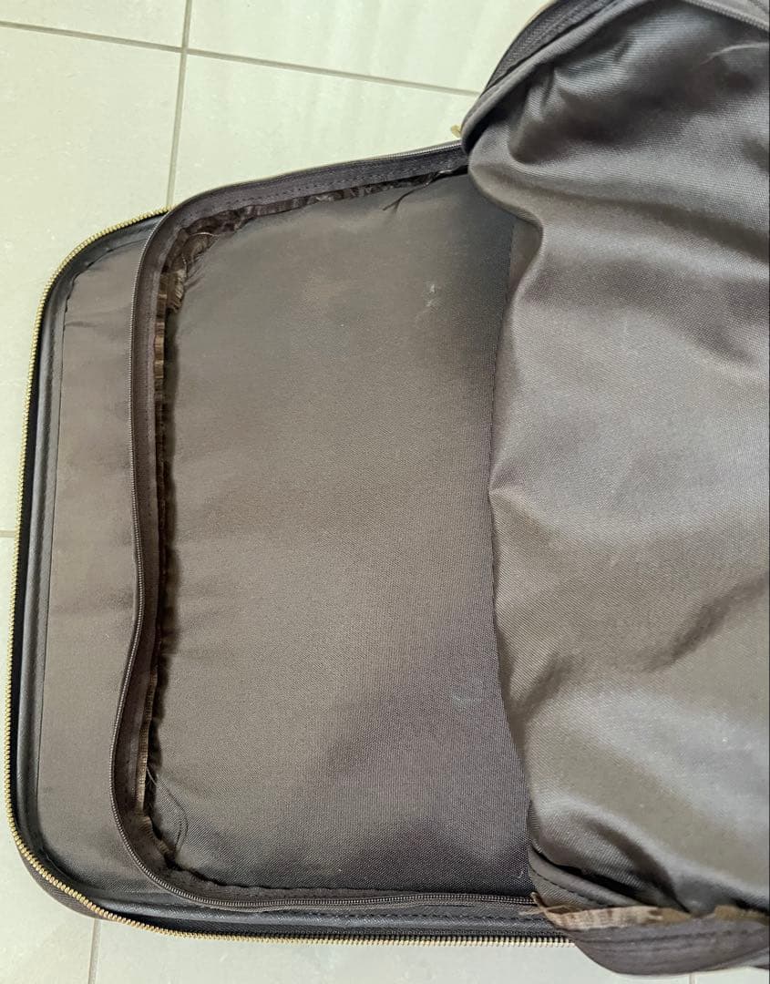 LOUIS VUITTON ルイ・ヴィトン キャリーバック