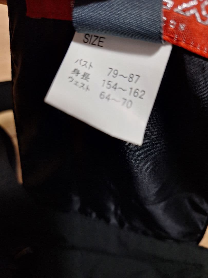 スキーウェア　フェニックス　GORE-TEX