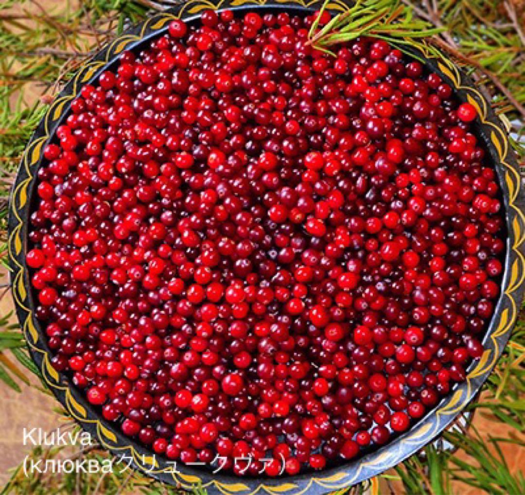 クリスマスセール♪ロシア雑貨☆冬マトリョーシカ3P『りんご ヤーブラカ』オリガ作