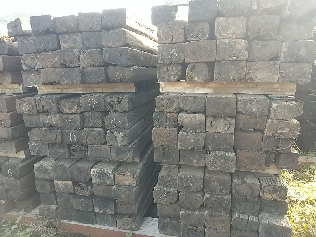 ただいま半額です！！ 40本 6級品 姶良市まで送料込みガーデニング 庭づくり