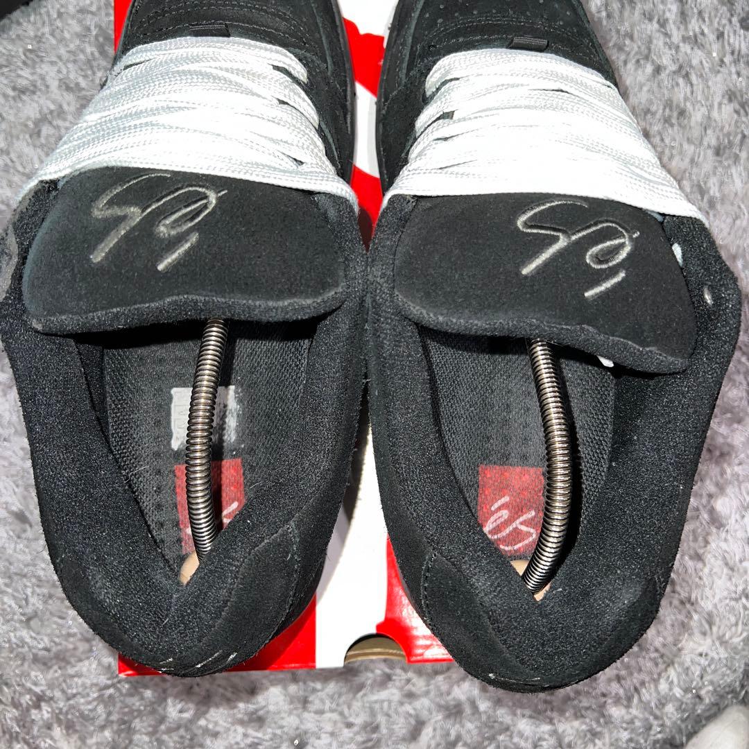 靴 es ACCEL OG fat lace custom sk8 US 9.5