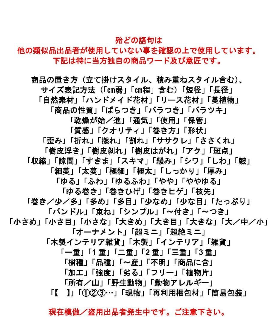 リース材料　蔓　キウイ近縁種　120サイズ　TK⑰　※「自然素材」盗用お断り